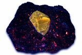 Fluorescent Zircon Crystal and Magnetite in Biotite Schist - Norway #363928-1